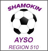 Region 510